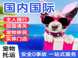 大水泊空运地址国际宠物托运 【国